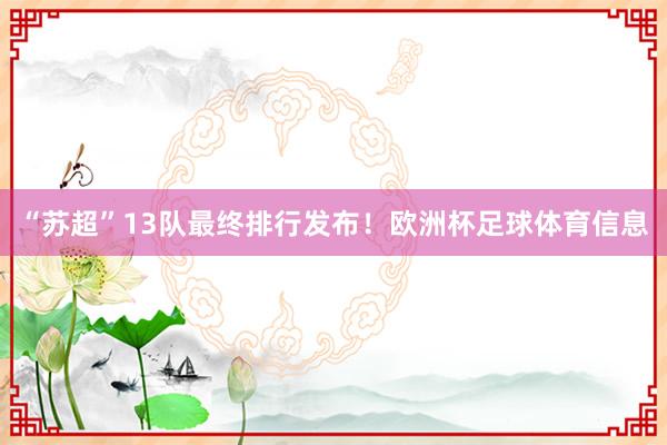 “苏超”13队最终排行发布！欧洲杯足球体育信息