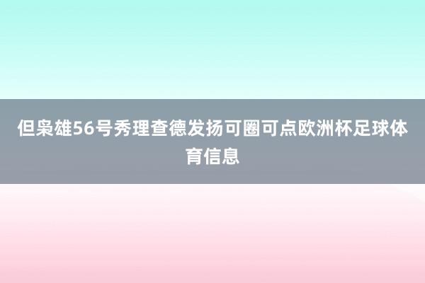 但枭雄56号秀理查德发扬可圈可点欧洲杯足球体育信息