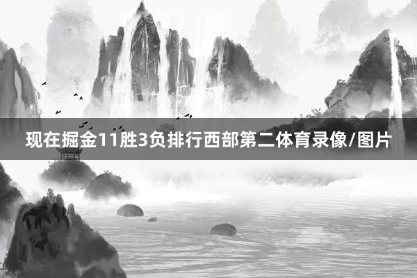 现在掘金11胜3负排行西部第二体育录像/图片