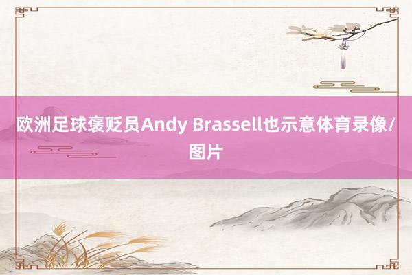 欧洲足球褒贬员Andy Brassell也示意体育录像/图片