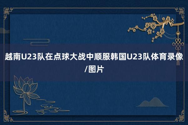 越南U23队在点球大战中顺服韩国U23队体育录像/图片