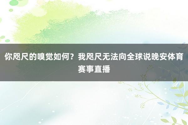 你咫尺的嗅觉如何？我咫尺无法向全球说晚安体育赛事直播
