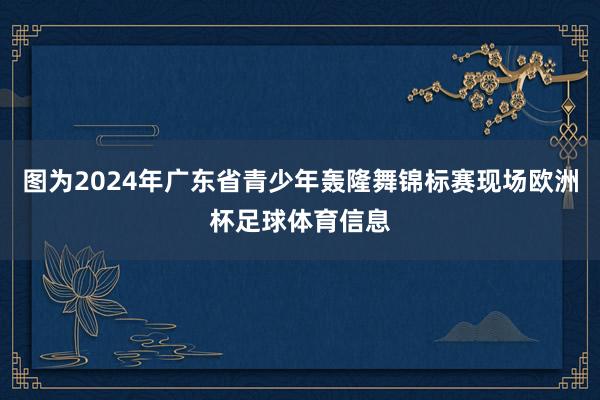 图为2024年广东省青少年轰隆舞锦标赛现场欧洲杯足球体育信息