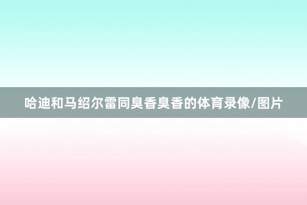 哈迪和马绍尔雷同臭香臭香的体育录像/图片