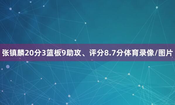 张镇麟20分3篮板9助攻、评分8.7分体育录像/图片