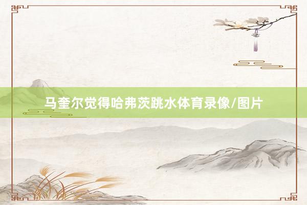 马奎尔觉得哈弗茨跳水体育录像/图片