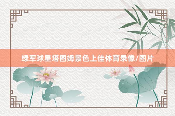 绿军球星塔图姆景色上佳体育录像/图片