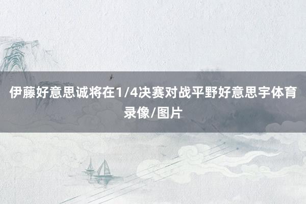 伊藤好意思诚将在1/4决赛对战平野好意思宇体育录像/图片