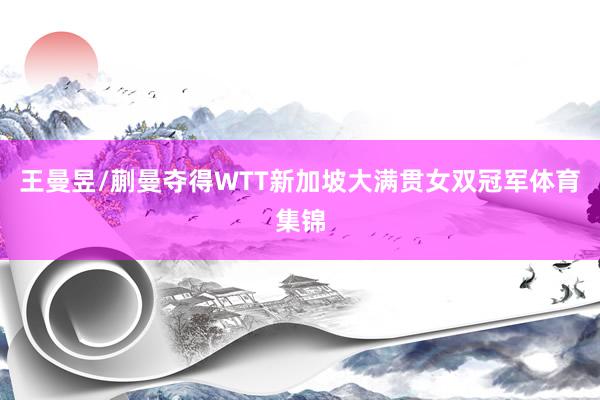 王曼昱/蒯曼夺得WTT新加坡大满贯女双冠军体育集锦