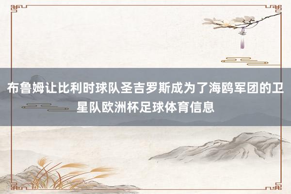 布鲁姆让比利时球队圣吉罗斯成为了海鸥军团的卫星队欧洲杯足球体育信息