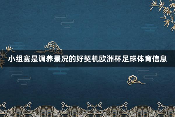 小组赛是调养景况的好契机欧洲杯足球体育信息