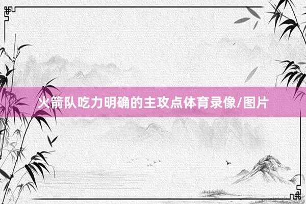 火箭队吃力明确的主攻点体育录像/图片