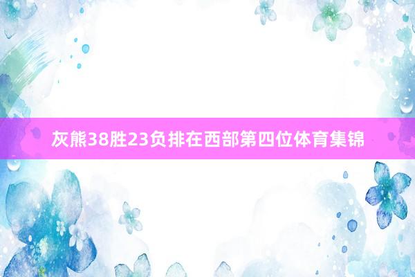 灰熊38胜23负排在西部第四位体育集锦