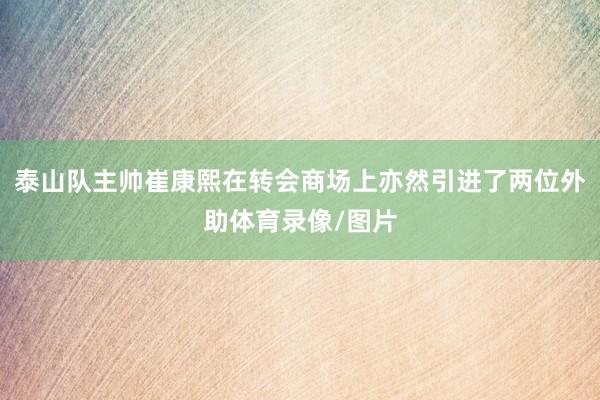 泰山队主帅崔康熙在转会商场上亦然引进了两位外助体育录像/图片