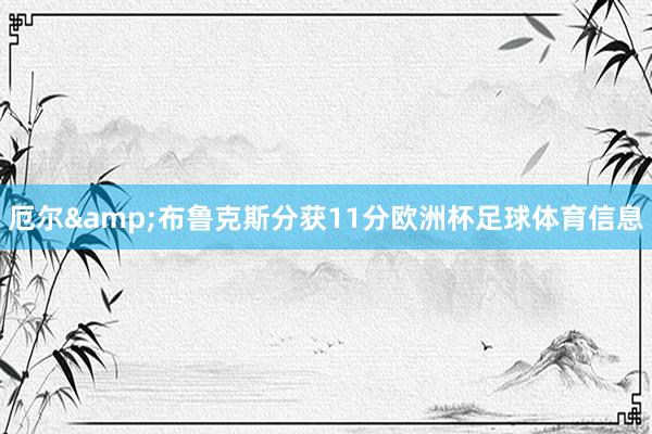 厄尔&布鲁克斯分获11分欧洲杯足球体育信息