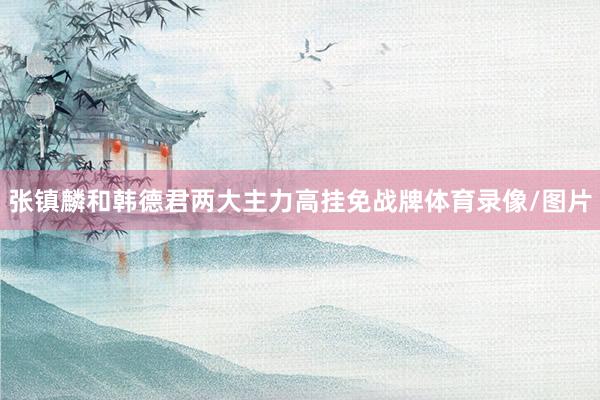张镇麟和韩德君两大主力高挂免战牌体育录像/图片