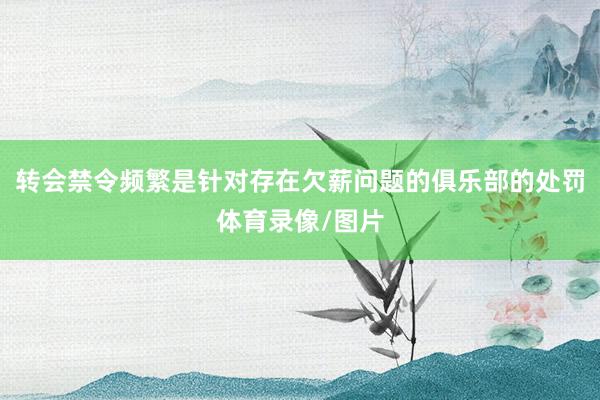 转会禁令频繁是针对存在欠薪问题的俱乐部的处罚体育录像/图片