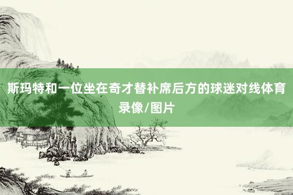 斯玛特和一位坐在奇才替补席后方的球迷对线体育录像/图片