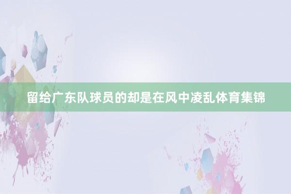 留给广东队球员的却是在风中凌乱体育集锦