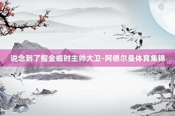 说念到了掘金临时主帅大卫-阿德尔曼体育集锦