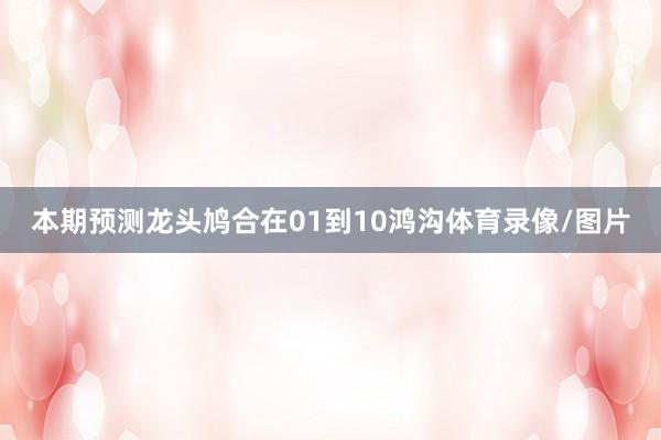 本期预测龙头鸠合在01到10鸿沟体育录像/图片