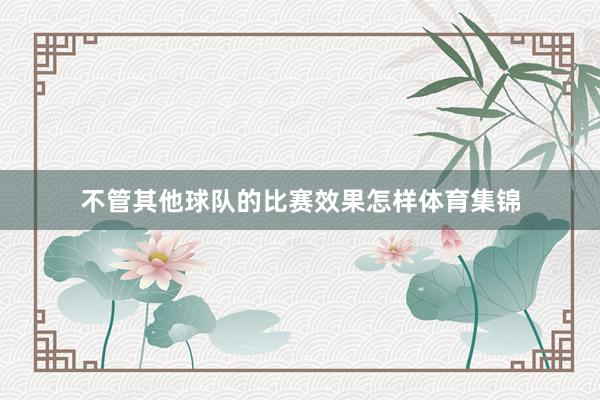 不管其他球队的比赛效果怎样体育集锦