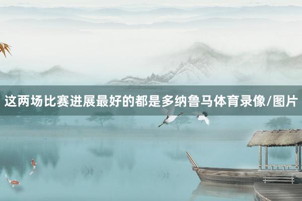 这两场比赛进展最好的都是多纳鲁马体育录像/图片