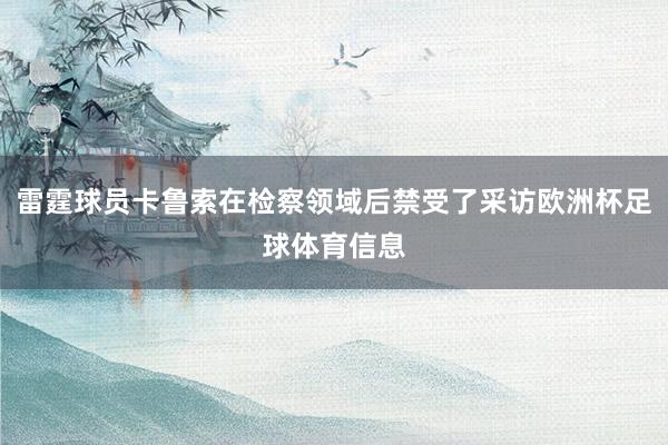 雷霆球员卡鲁索在检察领域后禁受了采访欧洲杯足球体育信息