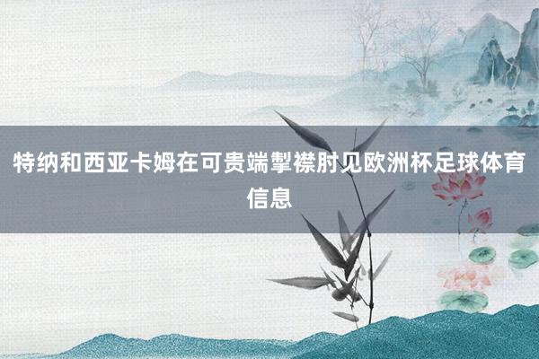 特纳和西亚卡姆在可贵端掣襟肘见欧洲杯足球体育信息