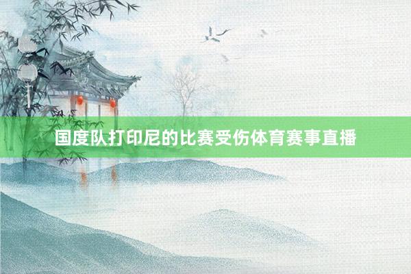 国度队打印尼的比赛受伤体育赛事直播
