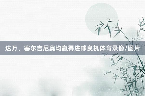 达万、塞尔吉尼奥均赢得进球良机体育录像/图片
