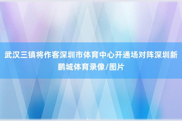 武汉三镇将作客深圳市体育中心开通场对阵深圳新鹏城体育录像/图片