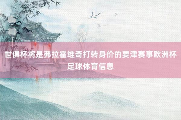 世俱杯将是弗拉霍维奇打转身价的要津赛事欧洲杯足球体育信息