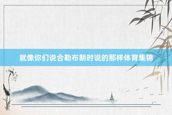 就像你们说合勒布朗时说的那样体育集锦