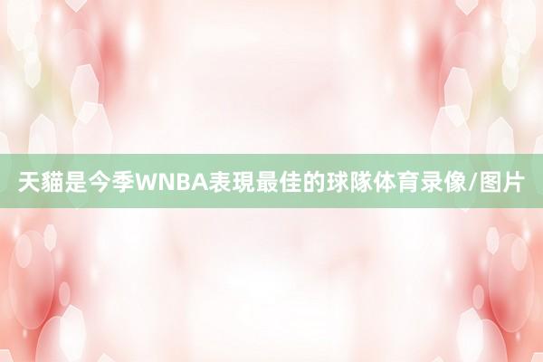 天貓是今季WNBA表現最佳的球隊体育录像/图片