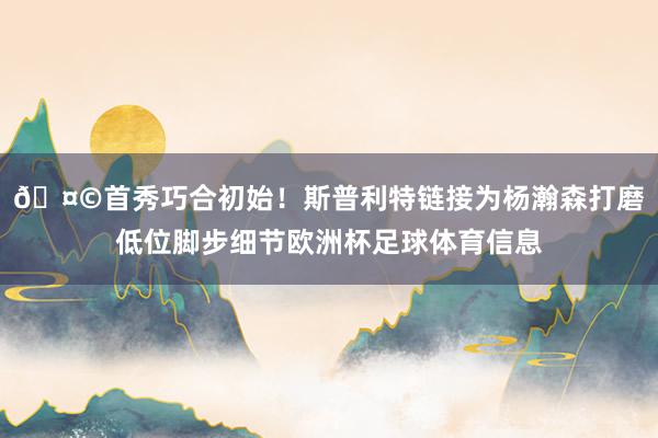 🤩首秀巧合初始！斯普利特链接为杨瀚森打磨低位脚步细节欧洲杯足球体育信息