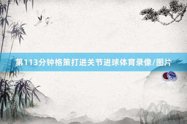 第113分钟格策打进关节进球体育录像/图片