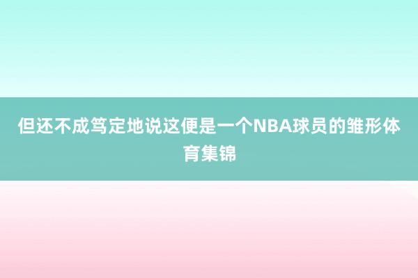 但还不成笃定地说这便是一个NBA球员的雏形体育集锦
