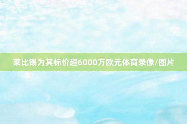 莱比锡为其标价超6000万欧元体育录像/图片