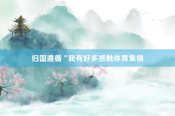 归国遵循“我有好多感触体育集锦