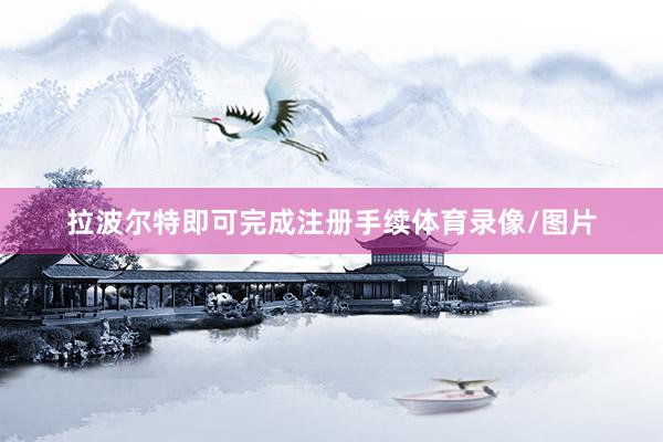 拉波尔特即可完成注册手续体育录像/图片