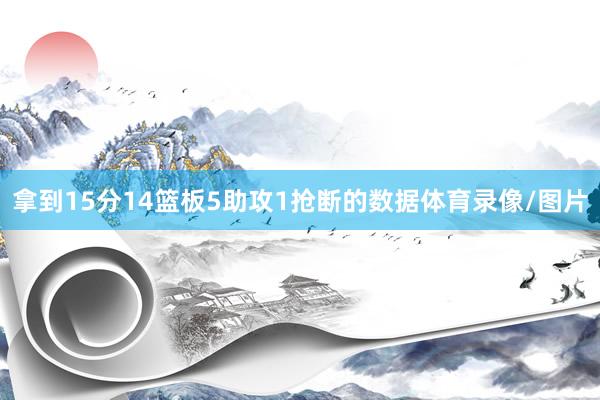 拿到15分14篮板5助攻1抢断的数据体育录像/图片