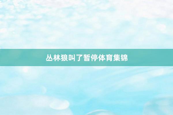 丛林狼叫了暂停体育集锦
