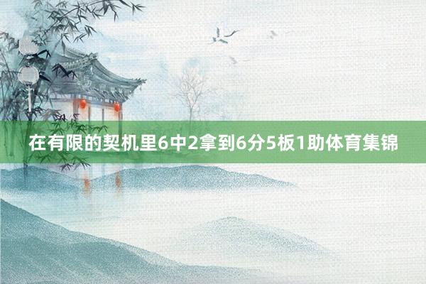 在有限的契机里6中2拿到6分5板1助体育集锦