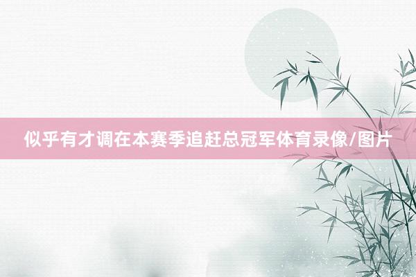 似乎有才调在本赛季追赶总冠军体育录像/图片