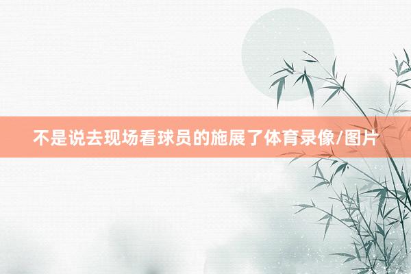 不是说去现场看球员的施展了体育录像/图片