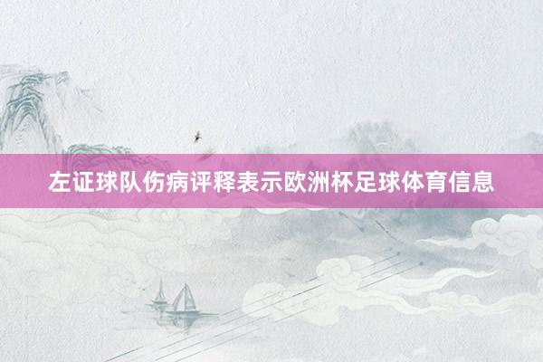 左证球队伤病评释表示欧洲杯足球体育信息