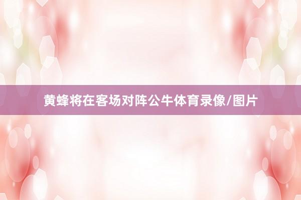 黄蜂将在客场对阵公牛体育录像/图片