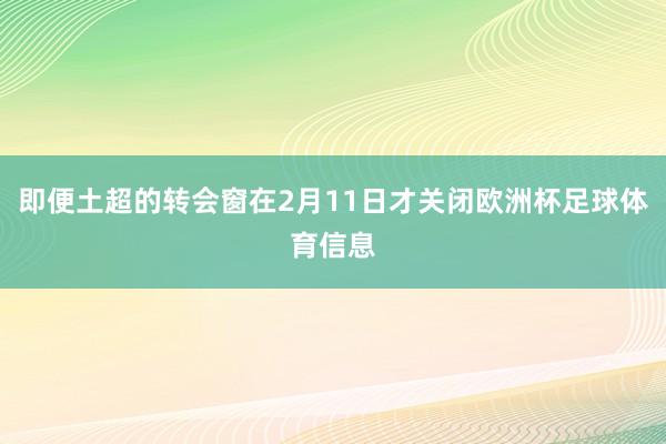 即便土超的转会窗在2月11日才关闭欧洲杯足球体育信息