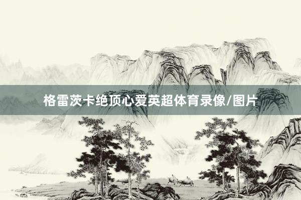 格雷茨卡绝顶心爱英超体育录像/图片